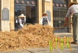 XI Muestra Gastronómica NATURPAL 2012
