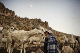 Exposición de Fotografía. «Mujer. Microcrédito. Un Mundo de trabajo y esperanza».