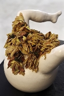 Exposición Arte, naturaleza y mujeres: Andrea Milde y Verónica perales, dos miradas.