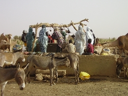 Exposición  de Fotografías: "La cooperación Palentina en América Latina, Asia y Africa"