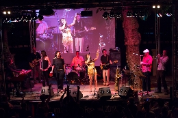 Ciclo Puestas de Solidaridad. Atardeceres musicales.  SULENE FLEMING – THE FIRE EATERS