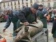 Tradicional Matanza del Cerdo