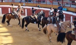 Espectaculo ecuestre