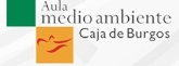 Talleres infantiles de 4 a 7 años y de 8 as 12 años.  Ambiente de Fiesta. Encuentra vida en vacaciones
