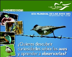 DÍA MUNDIAL DE LAS AVES 2013