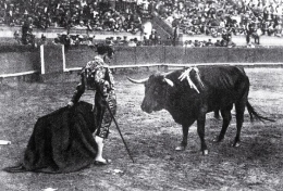 Exposición "100 Años de Fotografía taurina en los fondos de la Filmoteca de Castilla y León