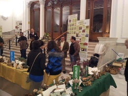 Exposición Micológica