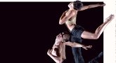 Danza Contemporanea: "Gran Gala de Creadores de Danza