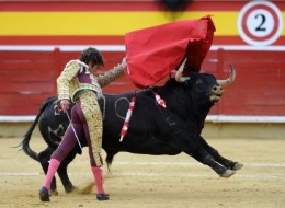 Mesa Redonda "La Fiesta de los Toros a debate"