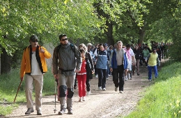 XXXVIII Marcha solidaria a beneficio de ASPANIS