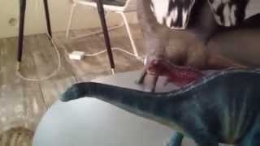 Dino exploradores del jurásico. Campamento urbano en  vacaciones