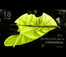 Taller de robótica: "Dia mundial de protección de la naturaleza"