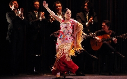 De una pieza. Cia de danza Olga Pericet