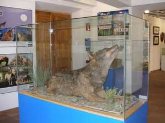 Exposición: "Amigo Lobo"