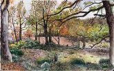 Adolfo Arranz. Acuarela y dibujos