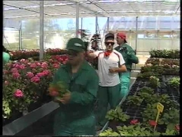Exposición de Fotografía "Buoni Figli". Guanelianos en Palencia, 50 años (1965 - 2015)