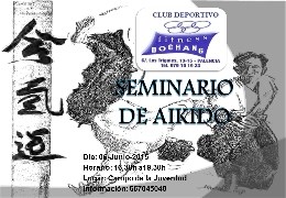 Seminario de Aikido