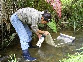Conferencia: "Los Macroinvertebrados: Indicadores de Calidad de Nuestros Rios"