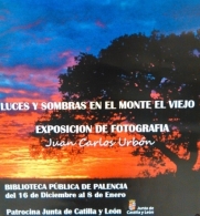 Exposición de fotografía "La luz en el Monte el Viejo", de Juan Carlos Urbón