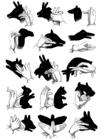 Taller de sombras chinescas, para niños de 6 a 14 años