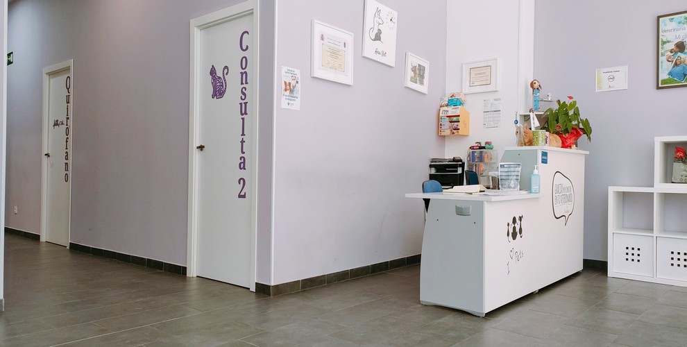Clínica veterinaria Ana Vet