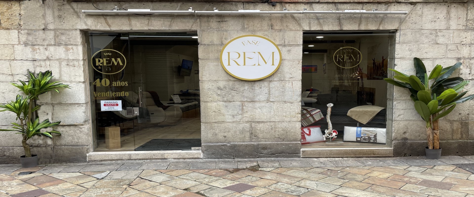 Fase REM