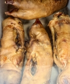 Arca de Noé