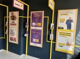 Maslife Palencia