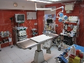 Clinica Veterinaria Don Can