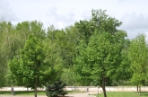 Residencia Amón. 3ª edad en Palencia