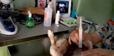 Clínica Veterinaria Nerta