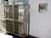 Clínica Veterinaria Nerta