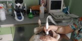 Clínica Veterinaria Nerta