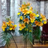 Floristería Sabadell