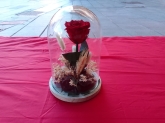 Floristería Sabadell