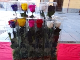 Floristería Sabadell