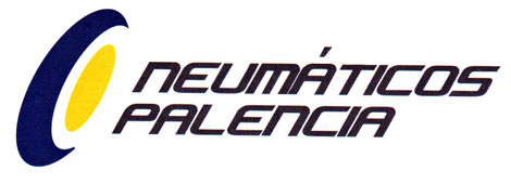 Neumáticos Palencia