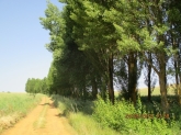 Fundación San Miguel de Montañan