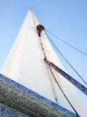 Vertipal