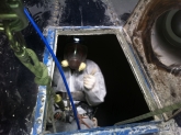 Vertipal