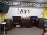 Gráficas Navi