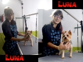 Perruqueria Ena