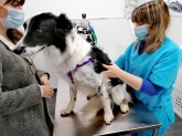 Clínica veterinaria Ana Vet