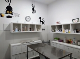 Clínica veterinaria Ana Vet