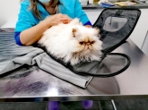 Clínica veterinaria Ana Vet