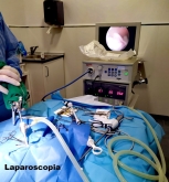 Clínica veterinaria Ana Vet