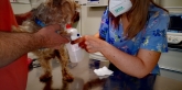 Clínica veterinaria Ana Vet