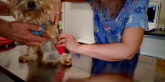 Clínica veterinaria Ana Vet