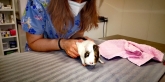 Clínica veterinaria Ana Vet