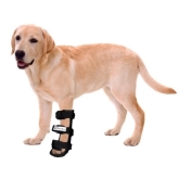 Clínica veterinaria Ana Vet
